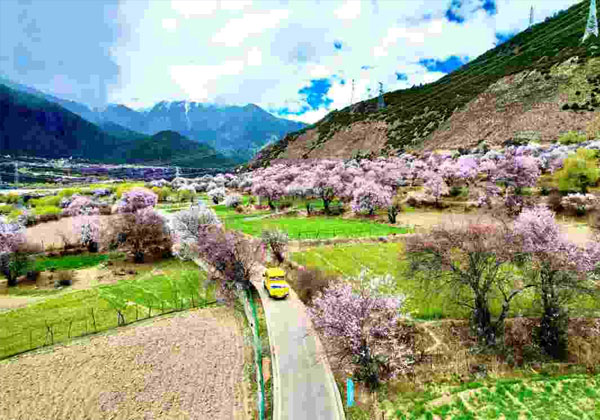 電(dian)力(li)建(jian)設(shè)